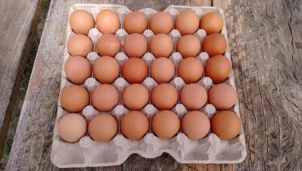 Yumurta satışında damga uygulaması başlıyor-2