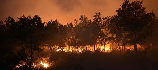 İzmir’de büyük orman yangını