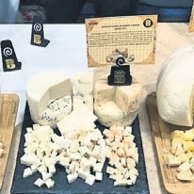 ‘50 Peynirli Şehrim’