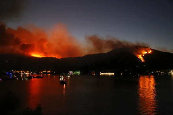 son-dakika-marmariste-yangin-alevler-nasil-basladi-10-yaslarindaki-iki-cocugun-ifadesi-alindi-kitap-yakiyorduk-alev-cogaldi-1627631618607.jpg SON DAKİKA: Marmaris'te yangın! Alevler nasıl başladı? 10 yaşlarındaki iki çocuğun ifadesi alındı: Kitap yakıyorduk alev çoğaldı-5