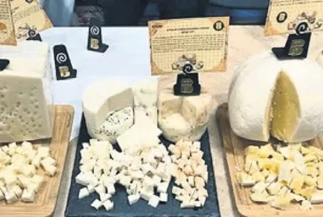 ‘50 Peynirli Şehrim’