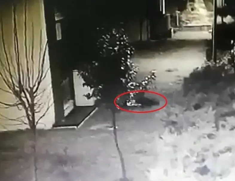 Sedefnur’un sır düşüşü kamerada