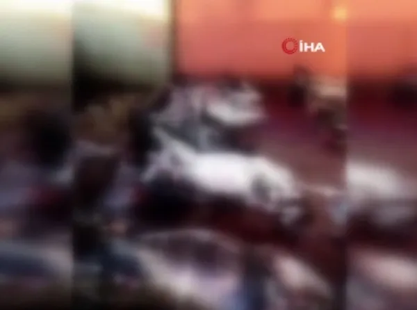 Adana'da mide bulandıran görüntü! 12 kesilmiş eşek ele geçirildi!-4
