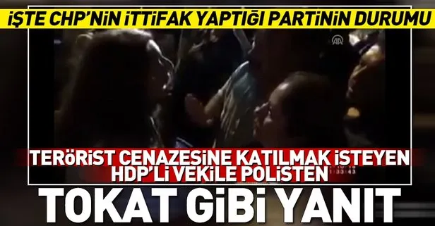 HDP’li vekil Saliha Aydeniz’e polisten tokat gibi cevap