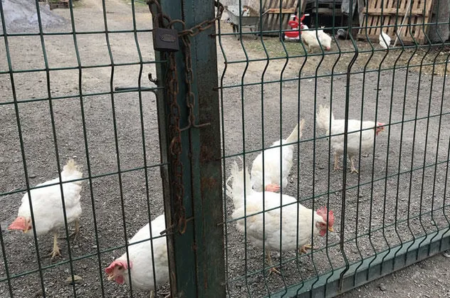 Karabük'te korkutan olay! Önce kendisi şimdi de annesi öldü...