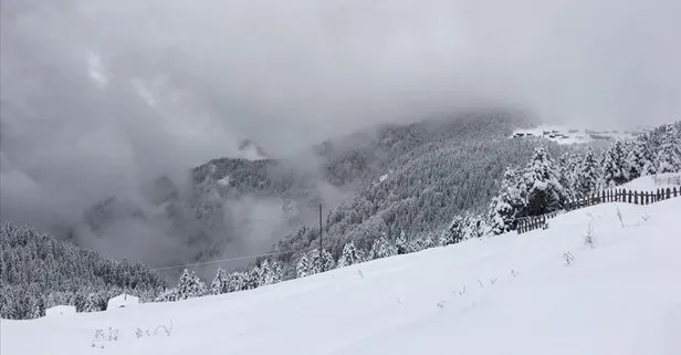 Meteoroloji uyardı! 4 ilde çığ tehlikesi