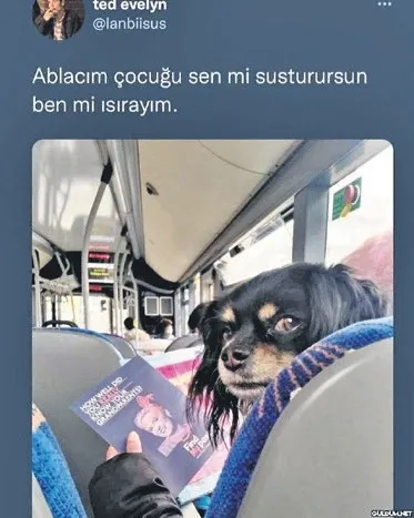 banyoda-sarki-soylerken-kendini-assolist-sanmak-1779052492843.jpeg
