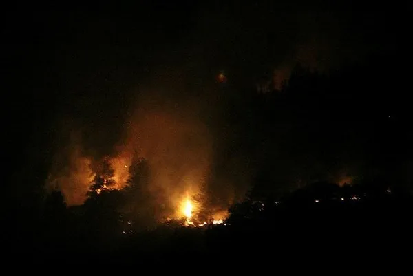 Türkiye'de peş peşe orman yangınları! Başkan Erdoğan açıkladı: 5 il Genel Hayata Etkili Afet Bölgesi ilan edildi-10