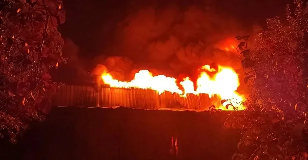 Bursa'nın Gürsu ilçesinde bir soğuk hava deposunda çıkan yangın sonucu 4 işçi ve 1 itfaiye eri hastaneye kaldırıldı