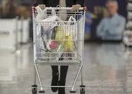 Ekonomiye güven artmaya devam ediyor! 2020 Ekim ayı Sektörel Güven Endeksleri