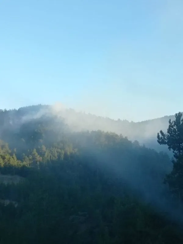 Adana'da orman yangını!-1