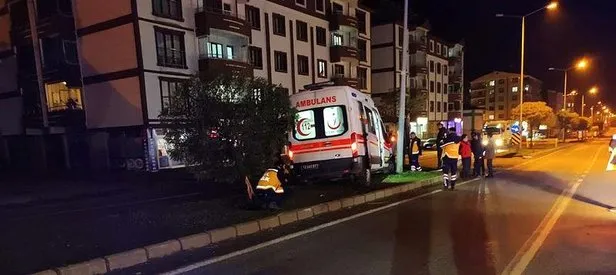 Hasta taşıyan ambulans ağaca çarptı!