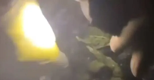 Son dakika: 7 ilde uyuşturucu operasyonu: 72 zehir taciri yakalandı