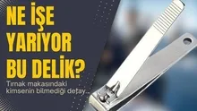 Kimsenin bilmediği gizemin sırrı çözüldü! Tırnak makasındaki delik bakın ne işe yarıyor