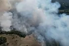 Son dakika... Adana'da çıkan orman yangını kontrol altına alındı!