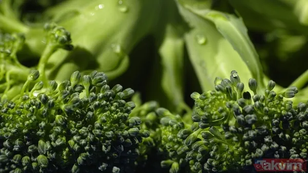 Tarihin en tuhaf ve tehlikeli detoksları: Parazit yutandan boraks banyosuna... - 6