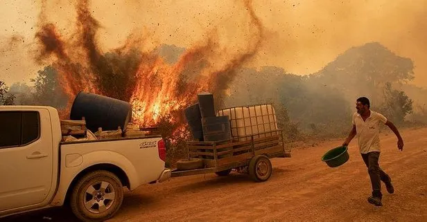 Brezilya’daki yangınlarda yaklaşık 1,5 milyon hektar sulak alan yandı