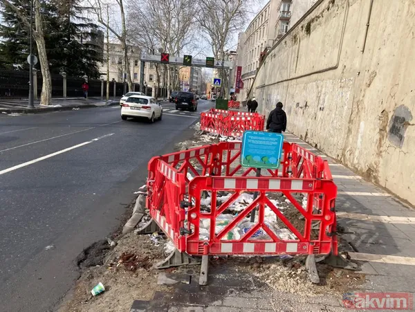 CHP'li İBB'nin ağaç katliamına sessiz kalan sözde çevrecilerin ikiyüzlülüğü! AK Parti: "Bu zihniyet, nobran bir zihniyettir” - 15