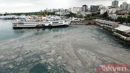 SON DAKİKA: İstanbul Bostancı’da sahili deniz salyası kapladı