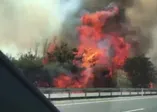 Tekirdağ’da yazlıkçılara yangın şoku!