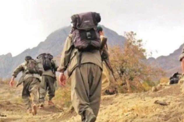 PKK'nın dağ kadrosundaki terörist tutuklandı