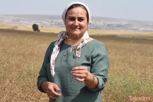 Nadasa bırakacaktı pelemir ekti jet yakıtı üretilecek - 4