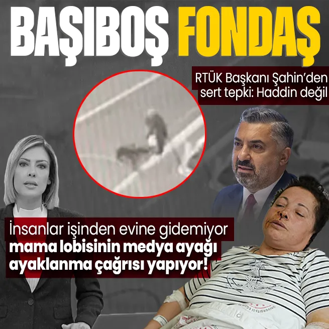 Mama lobisinin medya ayağı sokak köpekleri için ayaklanma çağrısı yapıyor ipini koparan köpekler vatandaşa saldırıyor! | RTÜK Başkanı Şahinden tepki