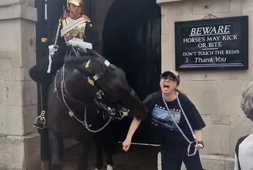 Kraliyet atı turisti ısırdı
