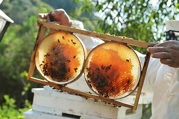 oksuruk-suruplari-rafa-kalkiyor-bu-ev-yapimi-surup-gecmeyen-oksurugu-ilac-gibi-tik-kesiyor-tamamen-ev-yapimi-1698916927561.jpg Bu ev yapımı şurup bir türlü geçmeyen öksürüğü ilaç gibi tık kesiyor! Tamamen doğal...-5