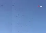 Leylekler İstanbul semalarında