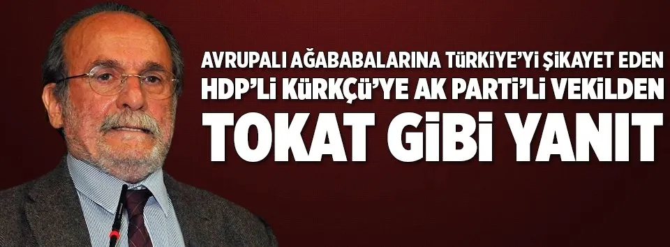 HDP’li Kürkçü’ye tokat gibi cevap