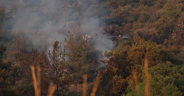 Bursa'nın İznik ilçesinde orman yangını kontrol altına alındı!
