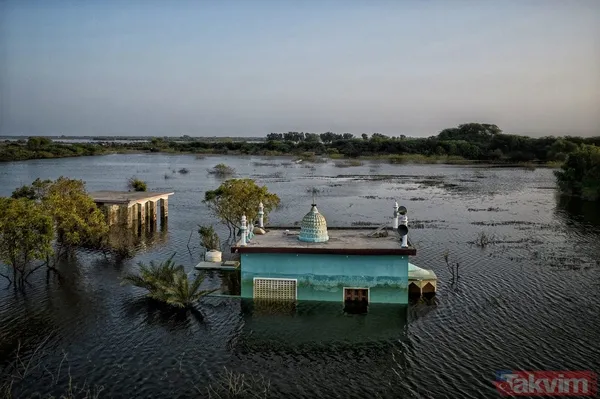 Pakistan'da felaket üstüne felaket! Selin ardından salgın hastalık vurdu - 23