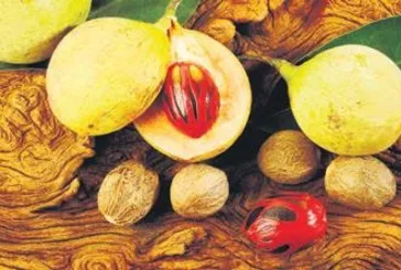 Tansiyona karşı muskat yeter