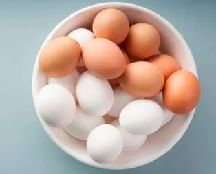 Kemiklere yumurta koruması