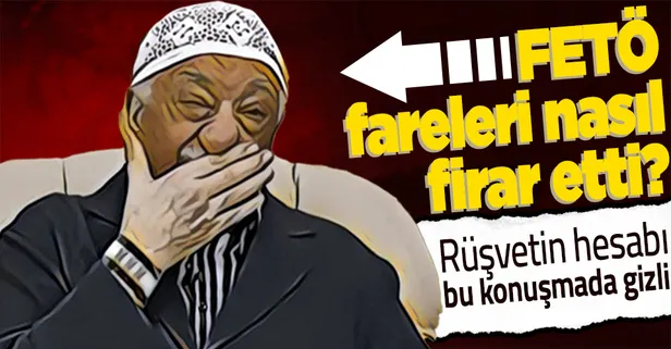 FETÖ'cüler yurt dışına elebaşı Fetullah Gülen'in avukatının sızdırdığı bilgilerle firar etmiş