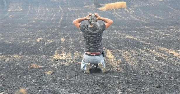 Çanakkale Gelibolu’daki yangın ekin tarlalarını küle çevirdi!