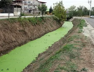 Endişe yaratan manzara! Derenin rengi yeşile döndü