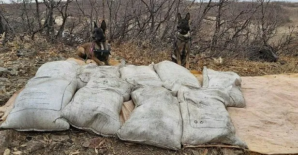 Bingöl’de PKK’ya ait 450 kilo ’amonyum nitrat’ ele geçirildi