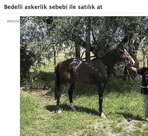Bedelliye iş garantisi-12