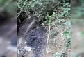 İstanbul Sarıyer'de atık su sorunu!