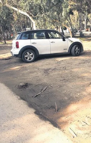 CHP'li Muhittin Böcek'ten ağaç katliamı