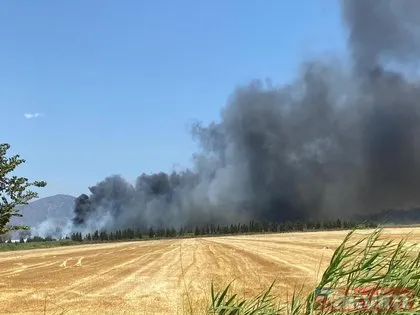 SON DAKİKA: Muğla Dalaman’da yangın! 24 saat geçmeden alevler yeniden yükseldi