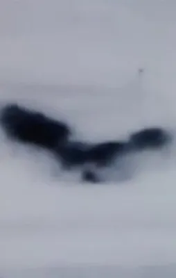 Ermeni sabotaj timi tarumar edildi