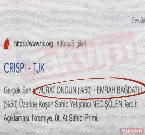 TAKVİM deşifre etti! Murat Ongun'un ifadesi ortaya çıktı: At ortağı Emrah Bağdatlı ile ticari ilişkim yok dedi - 7