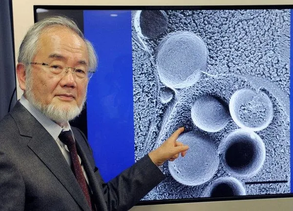 Nobel Ödüllü Japon bilim insanı: Oruç vücudun yenilenmesini sağlıyor-4
