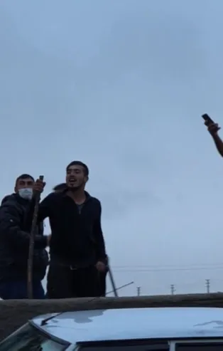 3 gün süren kavga! 'Köpek, yumurtaları yedi'