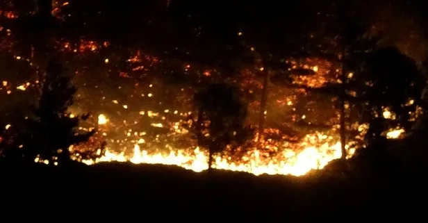 Çanakkale'de orman yangını! Açıklamalar peş peşe geldi