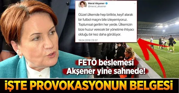 Meral Akşener’den provokatif tweet