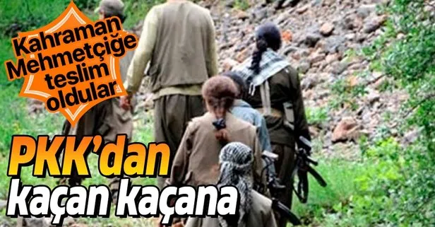 Son dakika: 5 PKK’lı terörist Mehmetçiğe teslim oldu